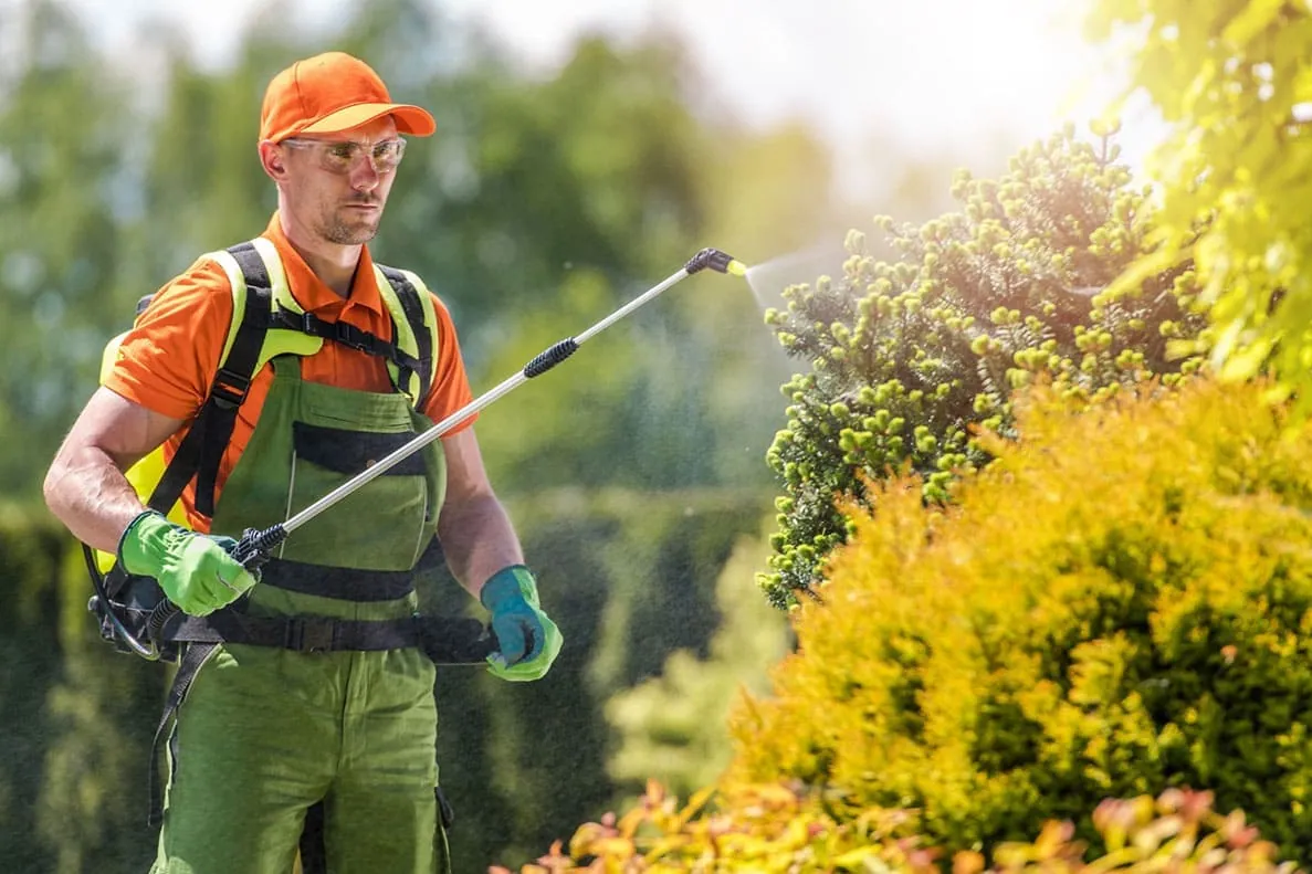 Tratamiento de plagas en un jardín de una comunidad o negocio