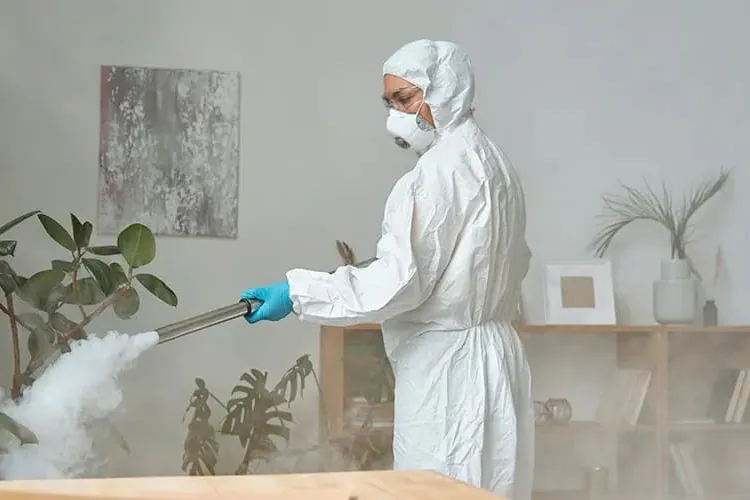 Nebulización en el interior de una vivienda durante un control de plagas en Córdoba