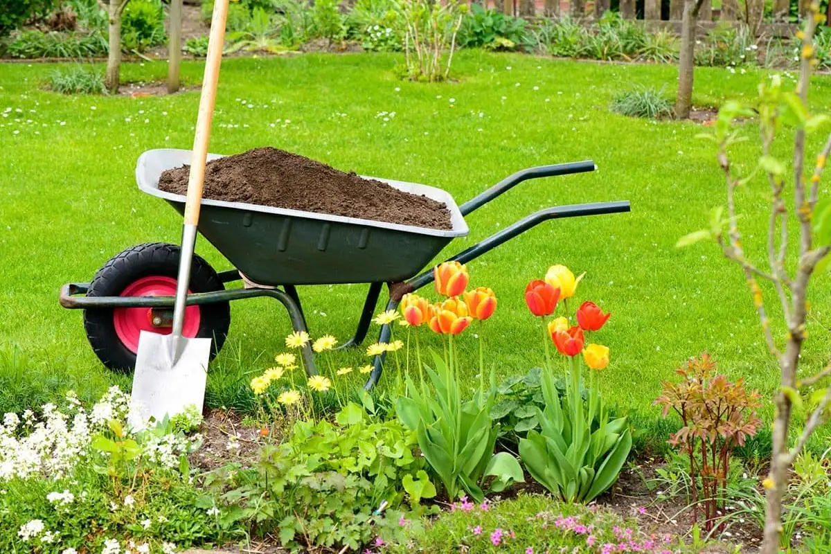 Carretilla con tierra en un jardín, mantenimiento de zonas verdes de comunidades y negocios de Valladolid