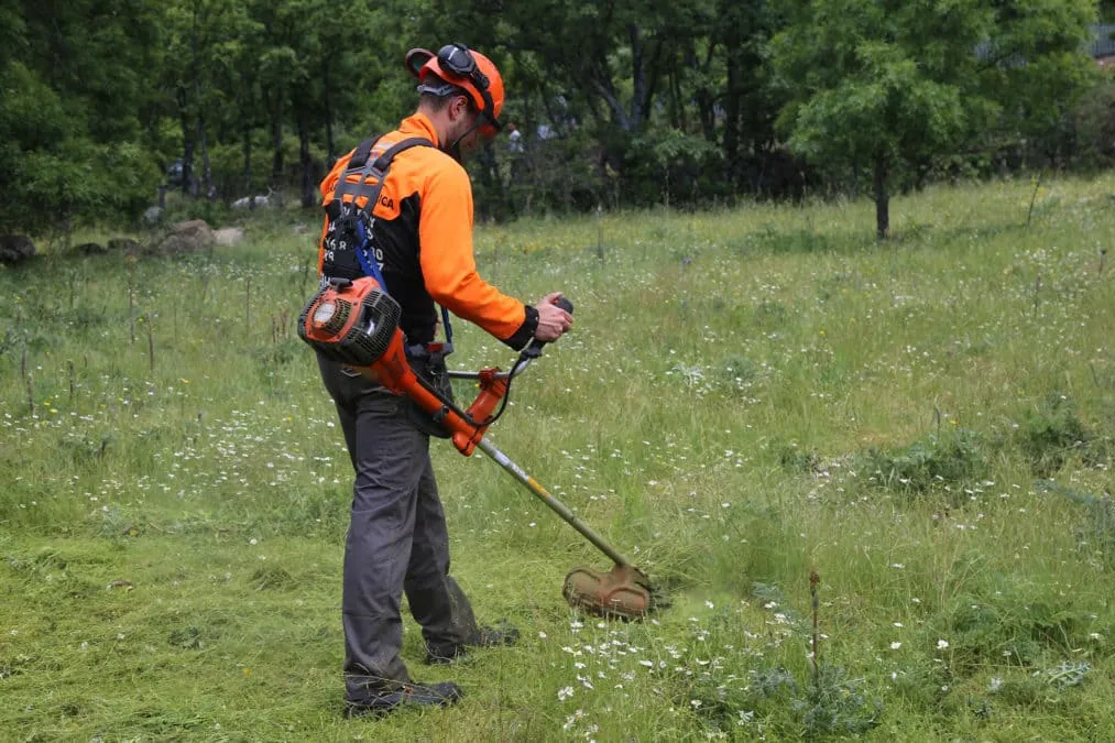 Desbroce con desbrozadora en una parcela de negocio en Pamplona